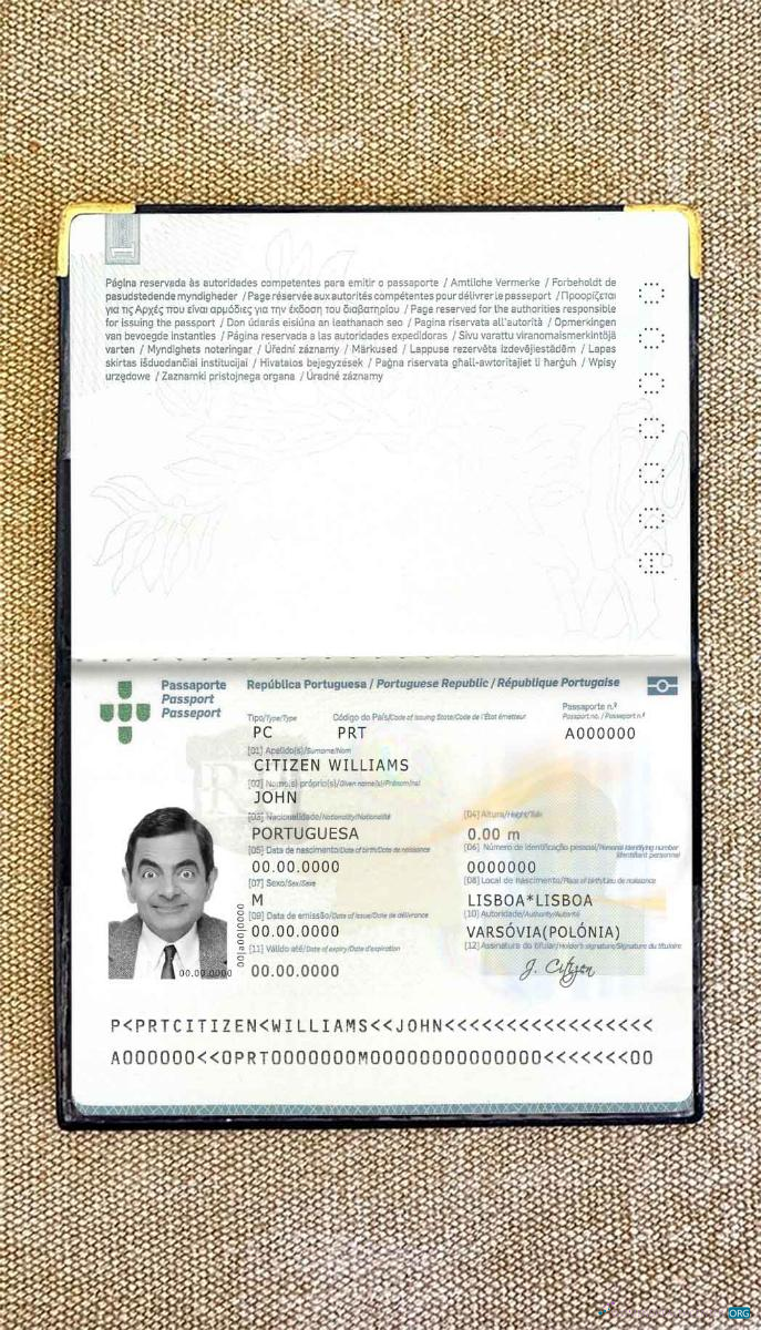 Download Portugal passport (2006 2017) photo look Photoshop template